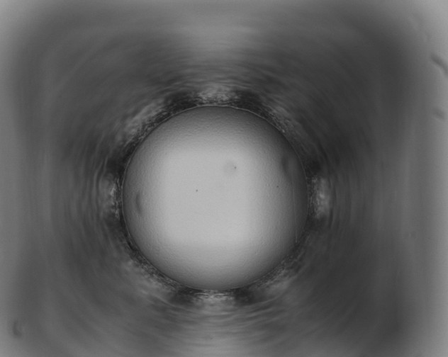 X0000103330619200809121212