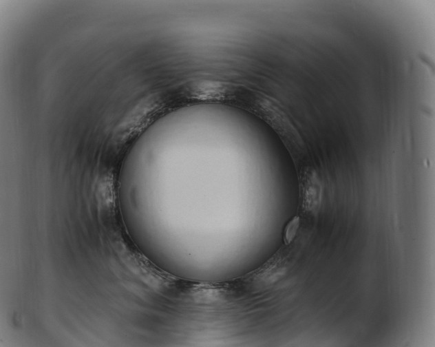 X0000103330620200809121212