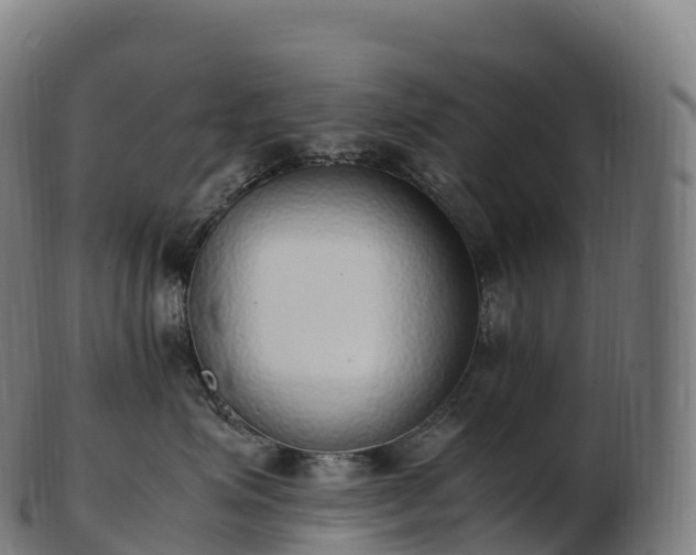 X0000103330623200809121212