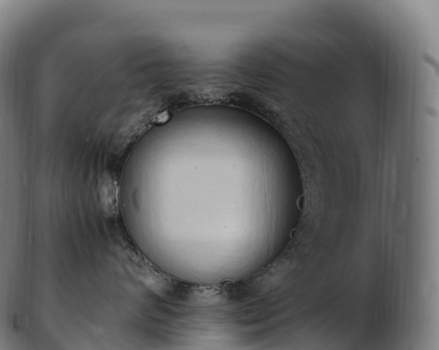 X0000103330624200809121212