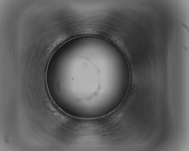 X0000103330625200809121211