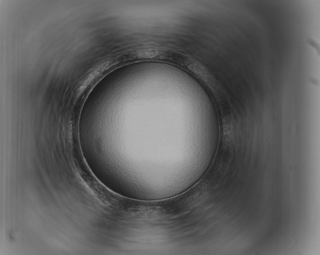 X0000103330626200809121211