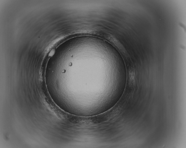 X0000103330628200809121211