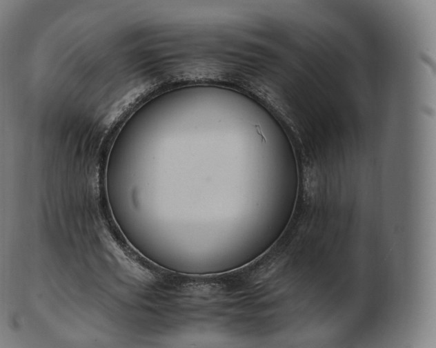 X0000103330629200809121211