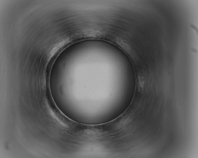 X0000103330630200809121211