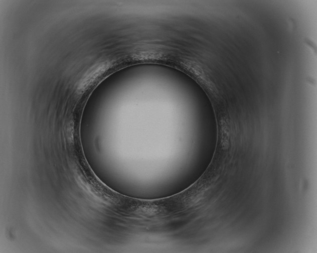 X0000103330631200809121211