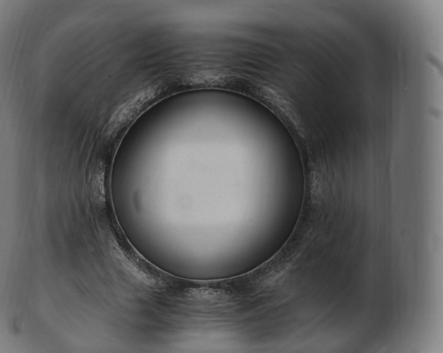 X0000103330633200809121211