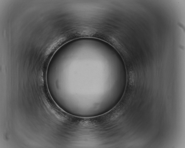 X0000103330634200809121211