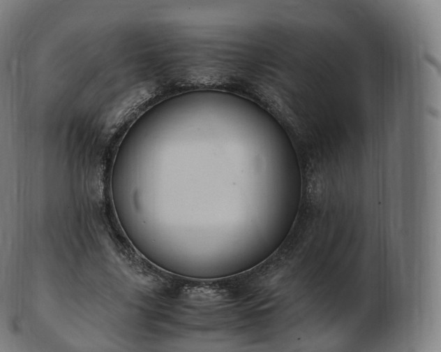 X0000103330635200809121211