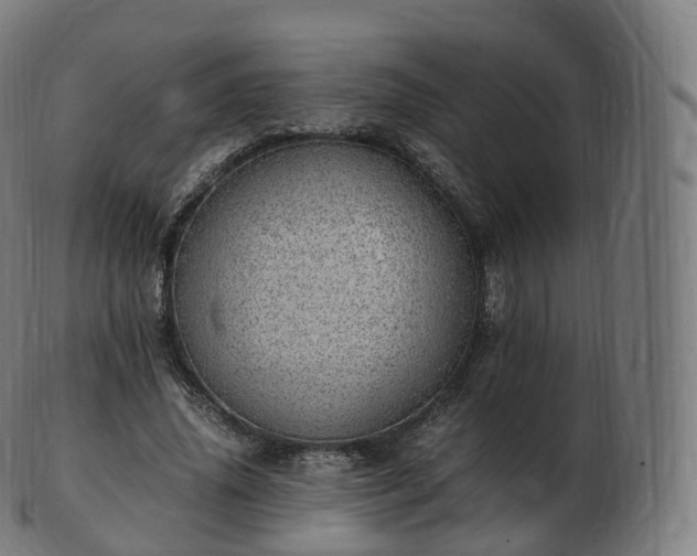 X0000103330636200809121211