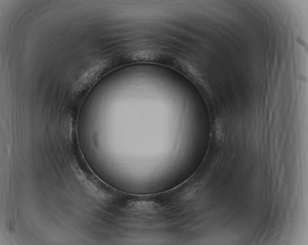 X0000103330637200809121211