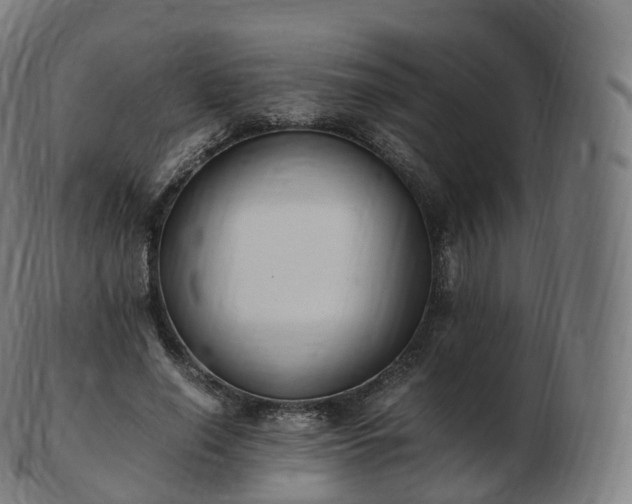 X0000103330638200809121211