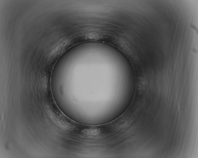 X0000103330639200809121211