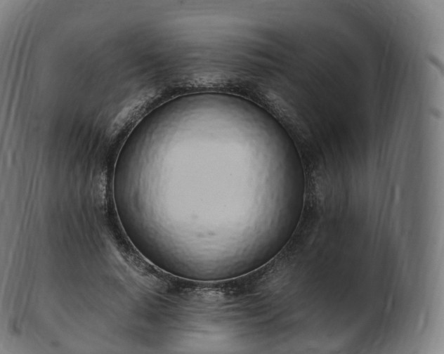 X0000103330640200809121211