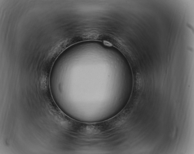 X0000103330641200809121211