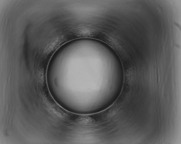 X0000103330642200809121211