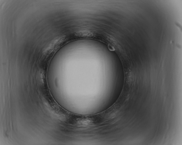 X0000103330643200809121211