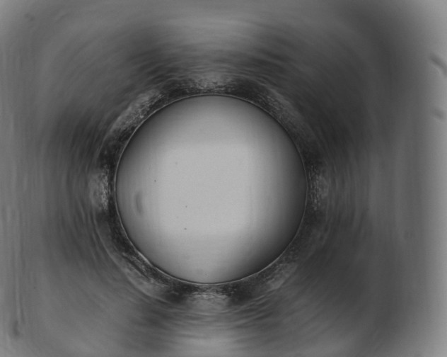 X0000103330644200809121211