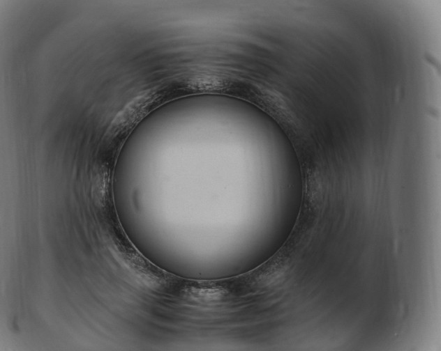 X0000103330645200809121211