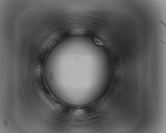 X0000103330647200809121211