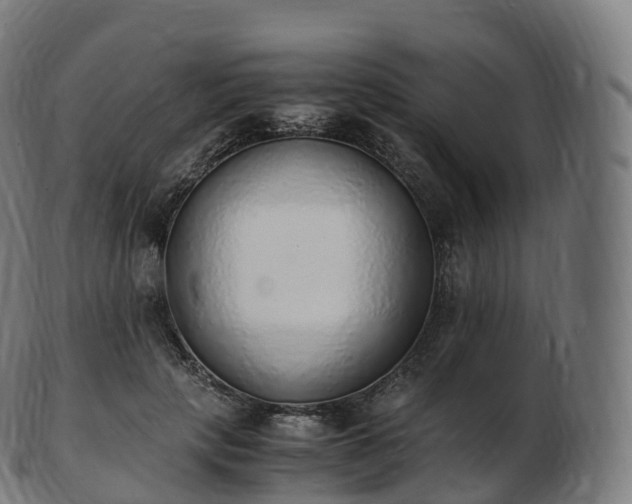 X0000103330649200809121211