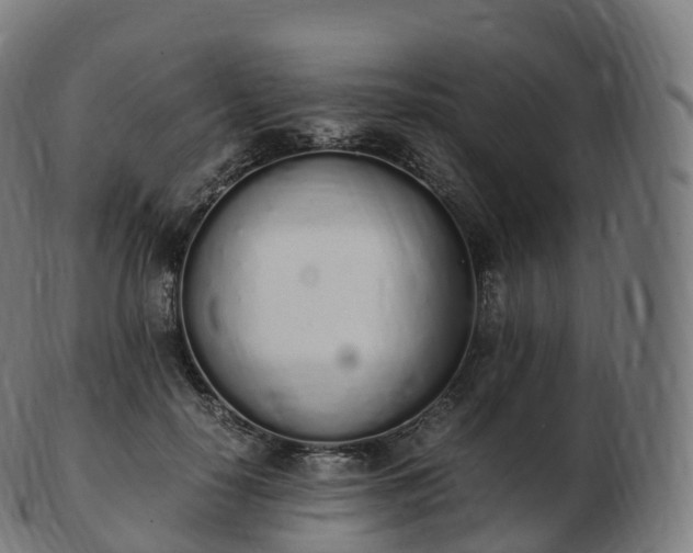 X0000103330650200809121211