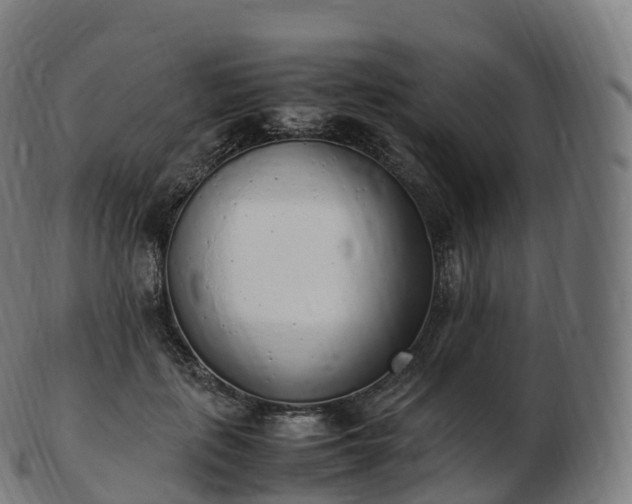 X0000103330651200809121211