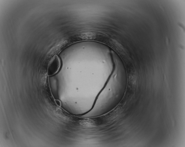 X0000103330652200809121211