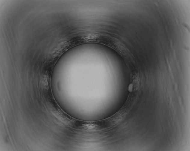 X0000103330654200809121211