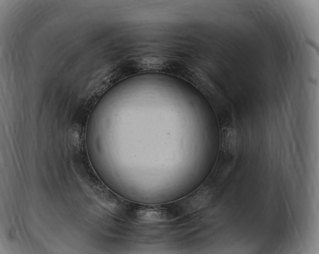 X0000103330655200809121211