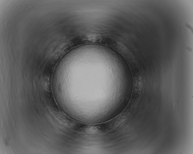 X0000103330656200809121211