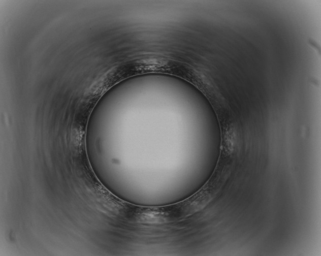 X0000103330657200809121211