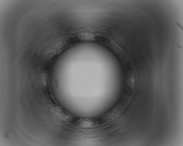 X0000103330658200809121211