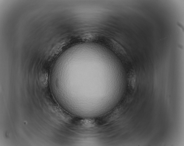 X0000103330660200809121211