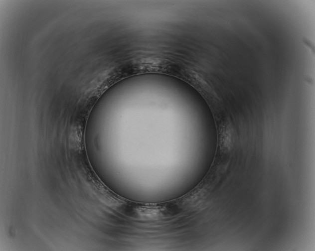 X0000103330661200809121211