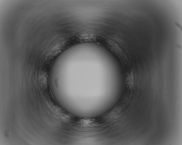 X0000103330662200809121211