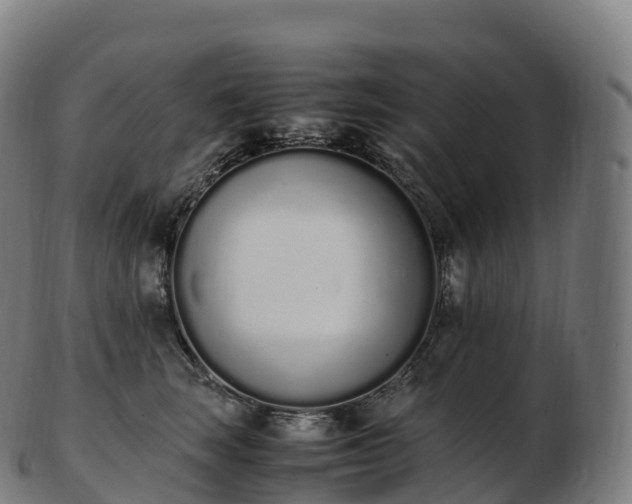 X0000103330663200809121211