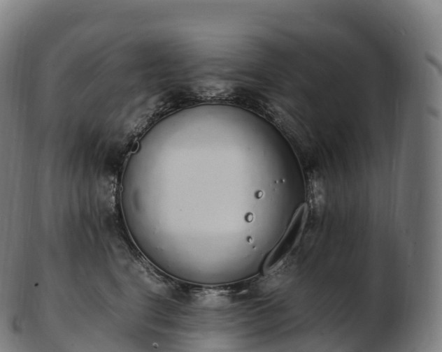 X0000103330664200809121211