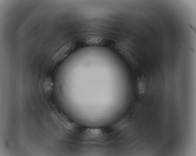 X0000103330665200809121211