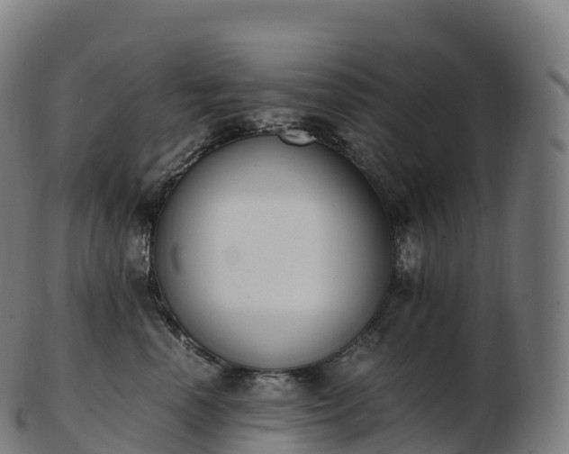 X0000103330666200809121211