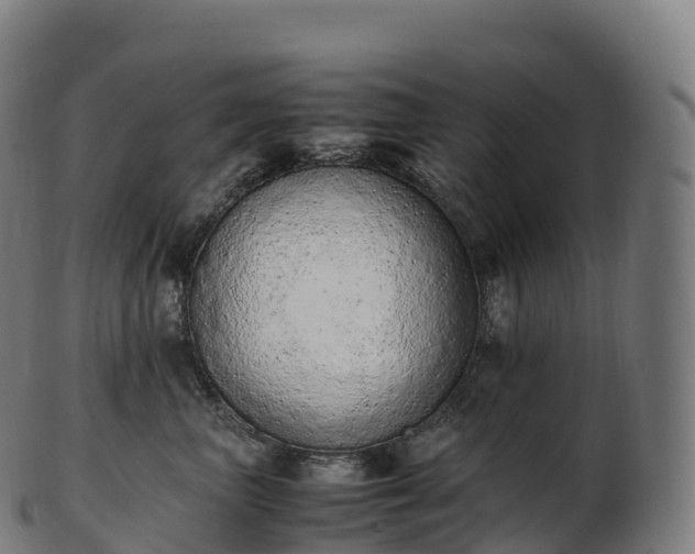 X0000103330667200809121211