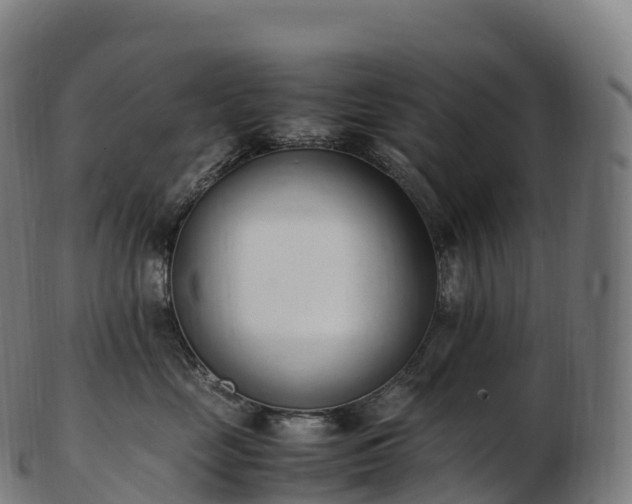 X0000103330669200809121211