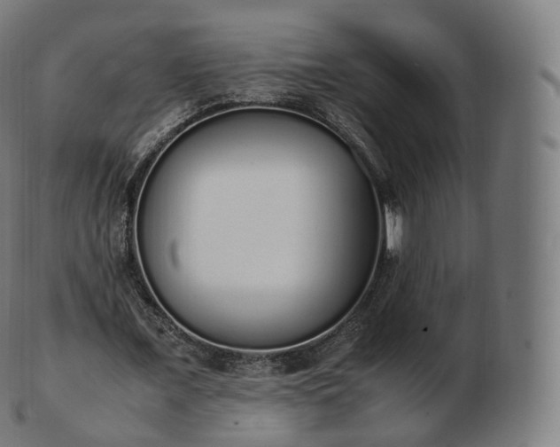 X0000103330675200809121211