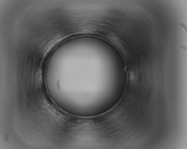 X0000103330676200809121211