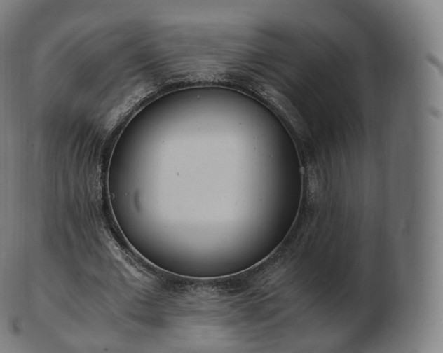 X0000103330677200809121211