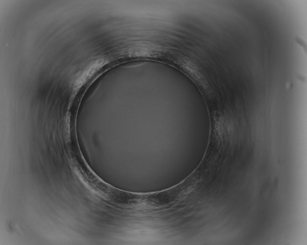 X0000103330678200809121211