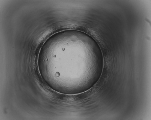 X0000103330679200809121211