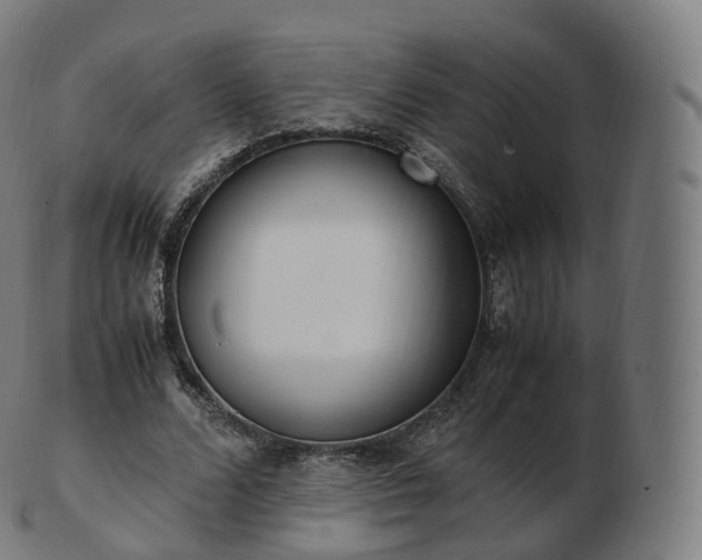 X0000103330680200809121211