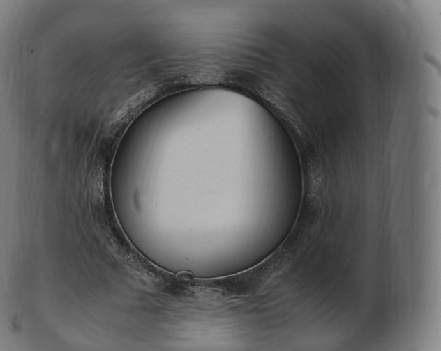 X0000103330681200809121211