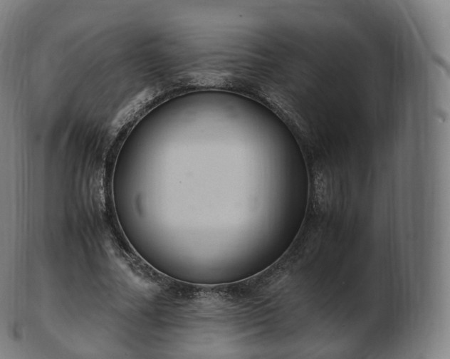 X0000103330682200809121211